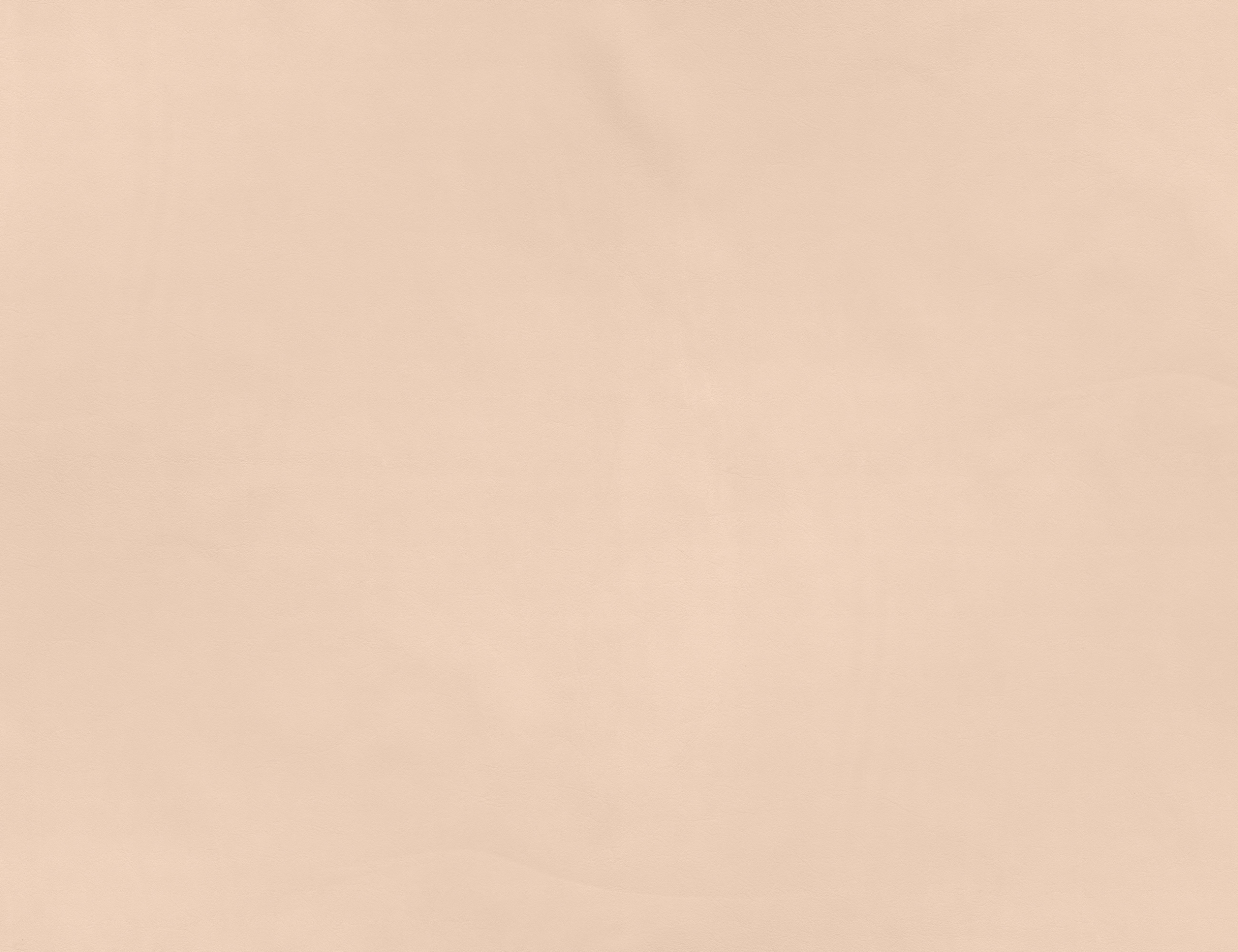 Vegetal leather